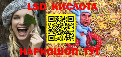 твердый Сланцы