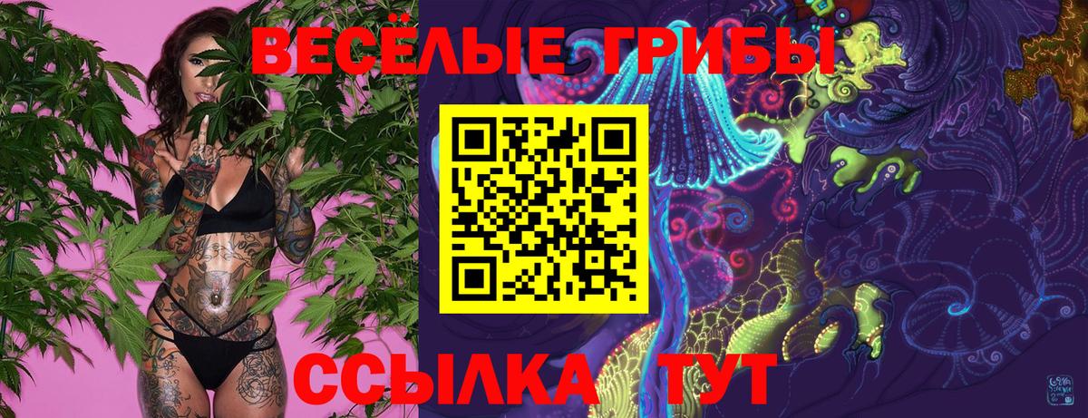 Галлюциногенные грибы мицелий  Вход с VPN  Псилоцибиновые грибы мицелий  Александров 
